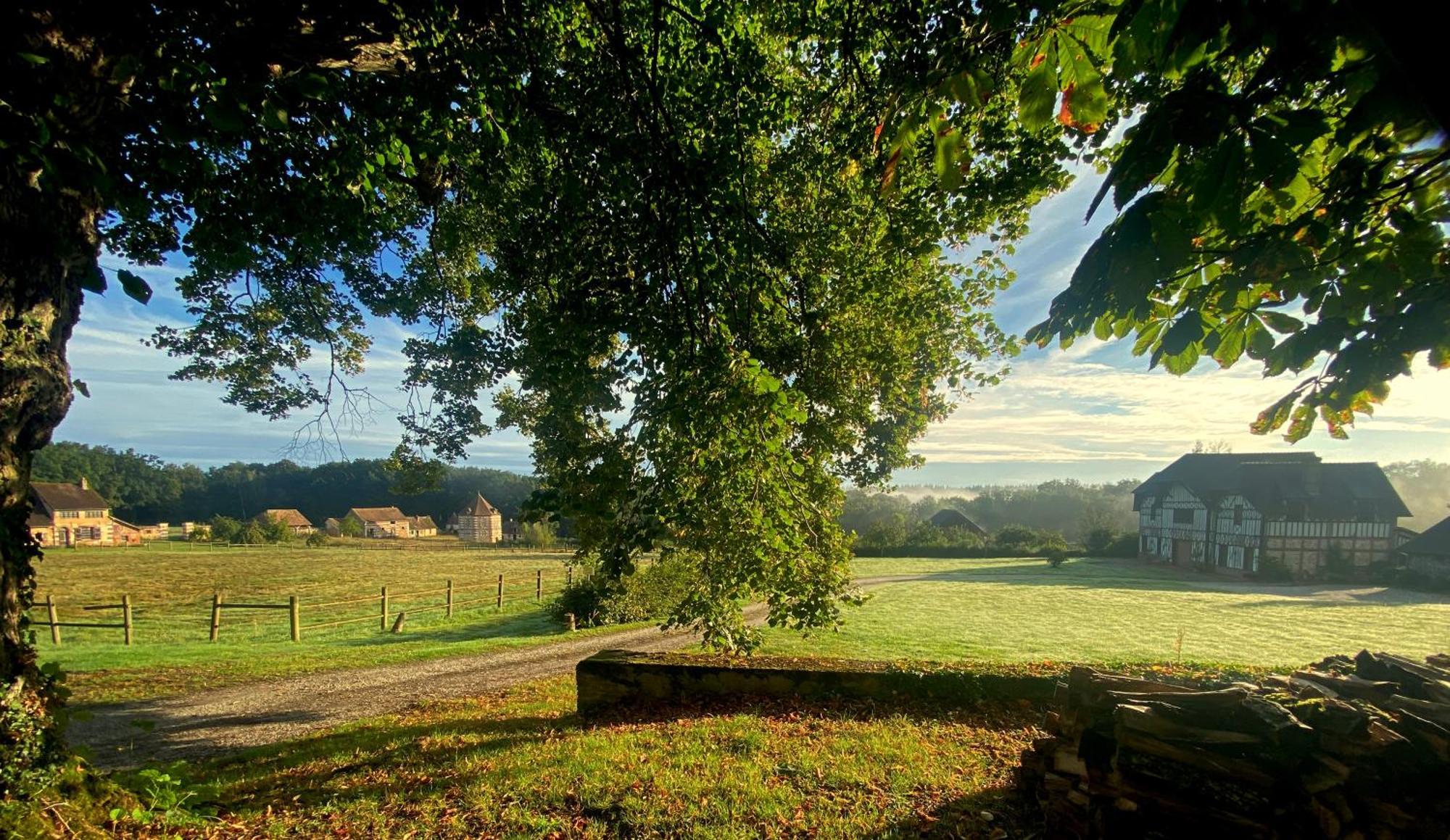 Le Pommier Doux, Maison D'Hote Du Domaine Du Chateau D'Argeronne La Haye-Malherbe Kültér fotó